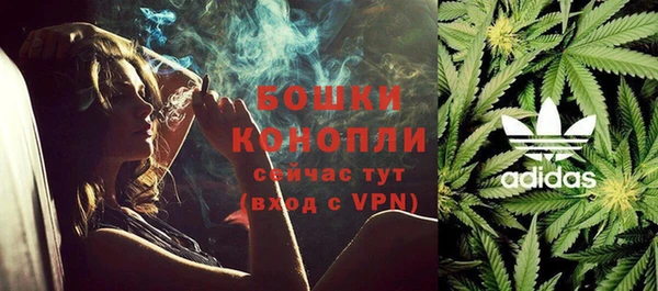 ПСИЛОЦИБИНОВЫЕ ГРИБЫ Сафоново