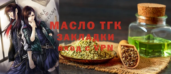 молекула духа Ростов