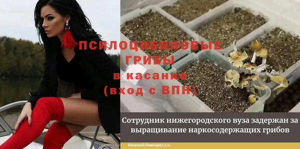 метадон Сатка