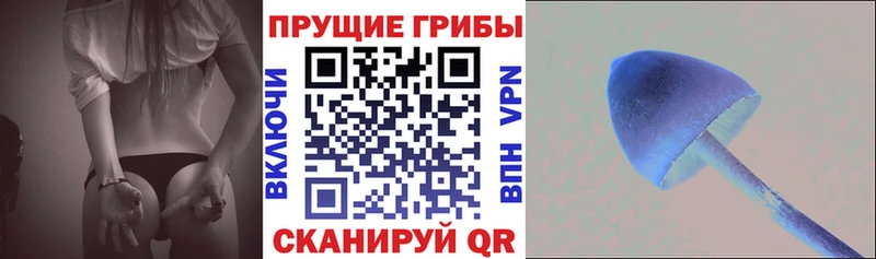 Псилоцибиновые грибы ЛСД  Купить закладки  Ростов-на-Дону 